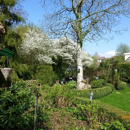Wiersse 68
