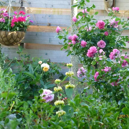 Wiersse 68 Frühstückspension Doetinchem