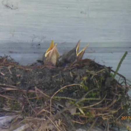 Frühstückspension Wiersse 68