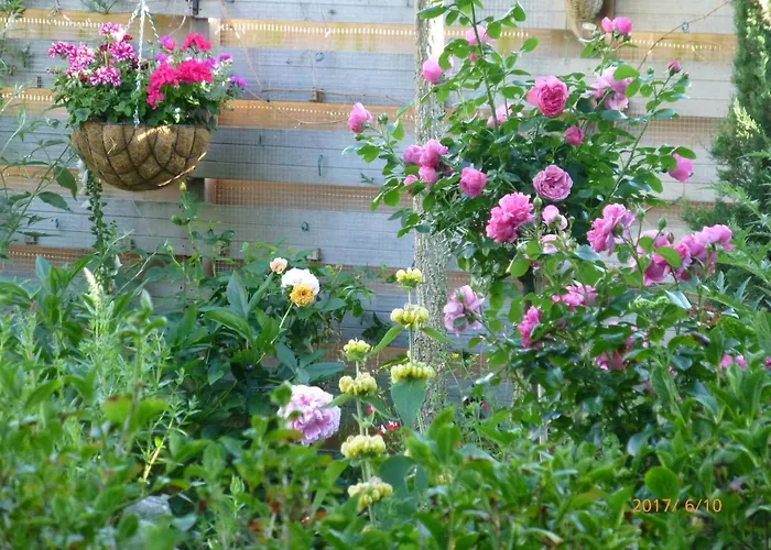 Wiersse 68 Bed and breakfast Doetinchem